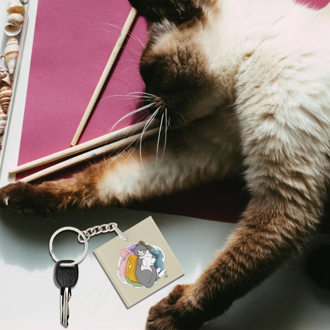 Grey White Cat Hair Laundry Key Ring (Creator Uploaded)