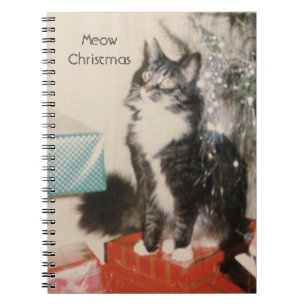 Grey White Cat Notebook