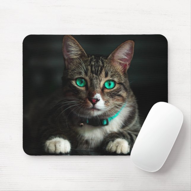 Grey & White Cat with Blue Eyes & Matching Collar Mouse Mat (With Mouse)