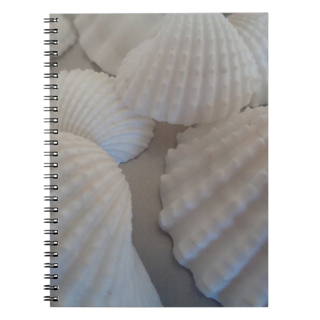 Grey White, Seashells, Sea Shell Summer Beach Love Notebook (Front)