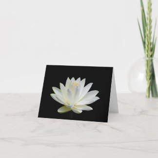 Grey White  Water Lily Blank Note Greeting Cards