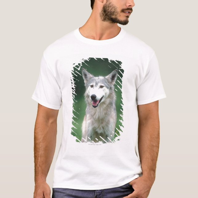 Grey wolf 2 T-Shirt (Front)