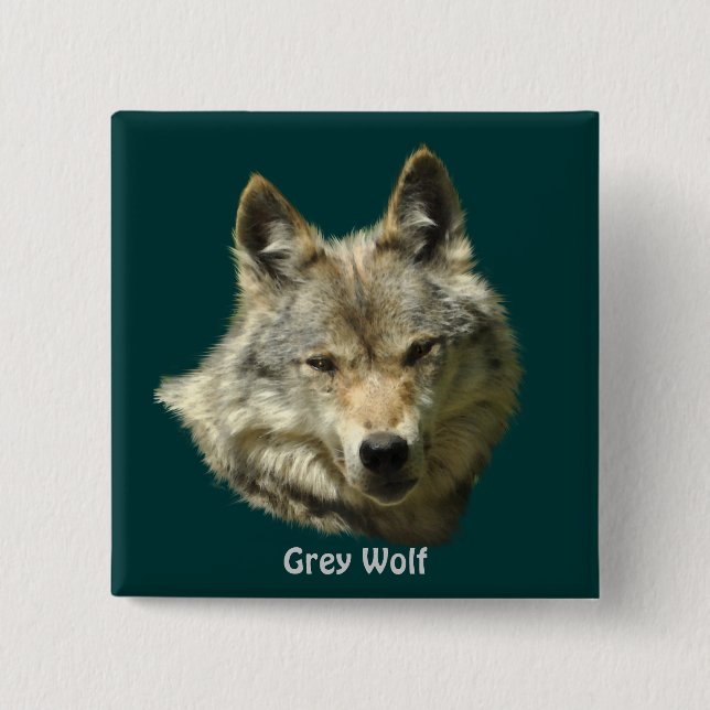 Grey Wolf Alpha Female Wildlife-lover 15 Cm Square Badge (Front)