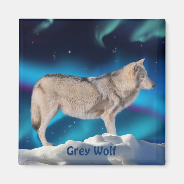 Grey Wolf & Aurora Wildlife Collection Magnet (Front)