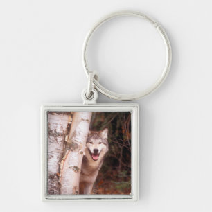 Grey Wolf Behind a Tree Key Ring