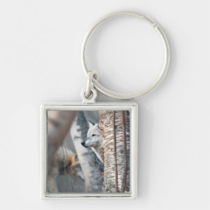 Grey Wolf Behind Tree Key Ring