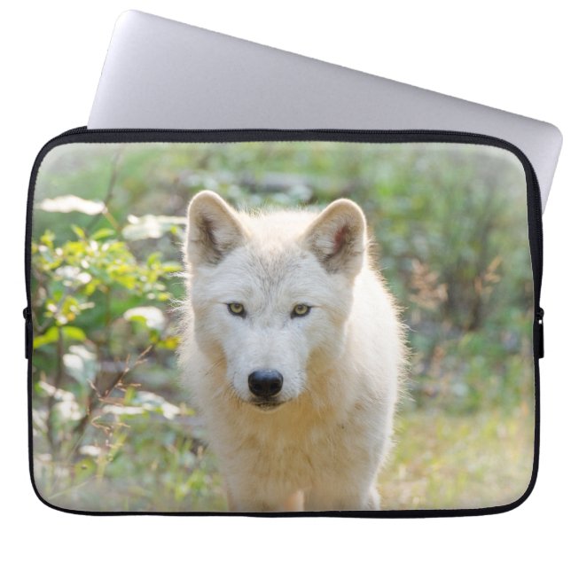 Grey Wolf, Calm Canine Animal Photography Laptop Sleeve (Front)