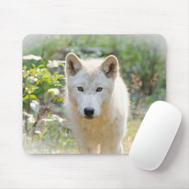Grey Wolf, Calm Canine  Mouse Mat (With Mouse)