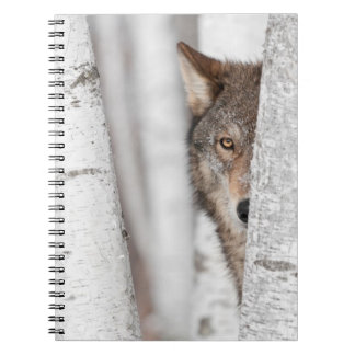 Grey Wolf (Canis lupus) Behind Tree Notebook
