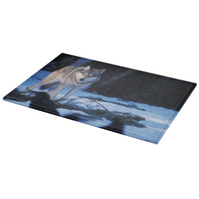 grey wolf, Canis lupus, in the foothills Cutting Board (Corner)