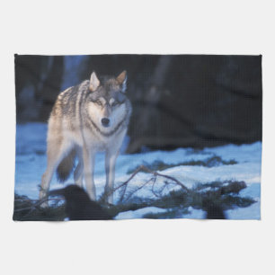 grey wolf, Canis lupus, in the foothills Tea Towel