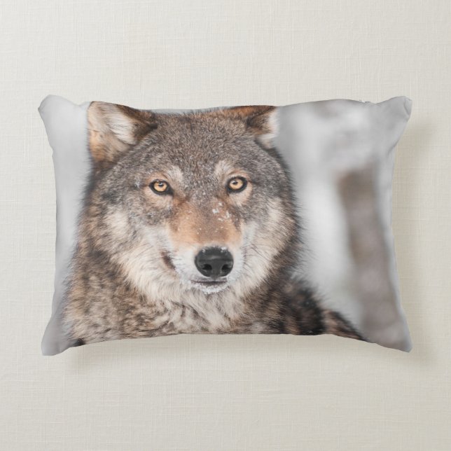 Grey Wolf (Canis lupus) With One Ear Back Decorative Cushion (Front)