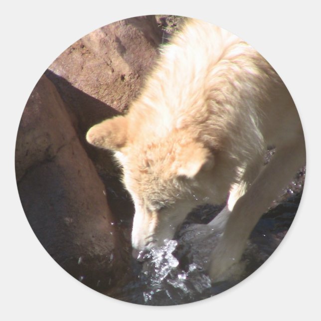 Grey Wolf Classic Round Sticker (Front)