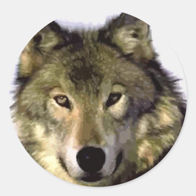 Grey Wolf Classic Round Sticker (Front)