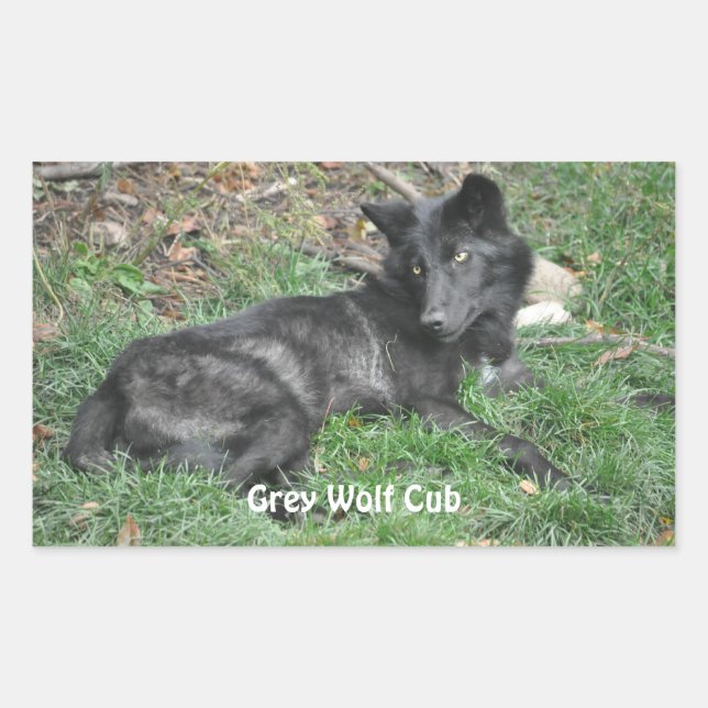 GREY WOLF CUB Wildlife Supporter Stickers (Front)