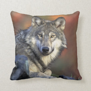 Grey Wolf Cushion