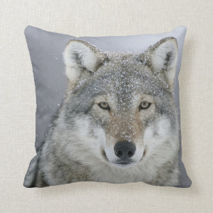 Grey Wolf Cushion