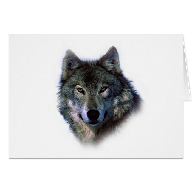 Grey Wolf Eyes (Front Horizontal)