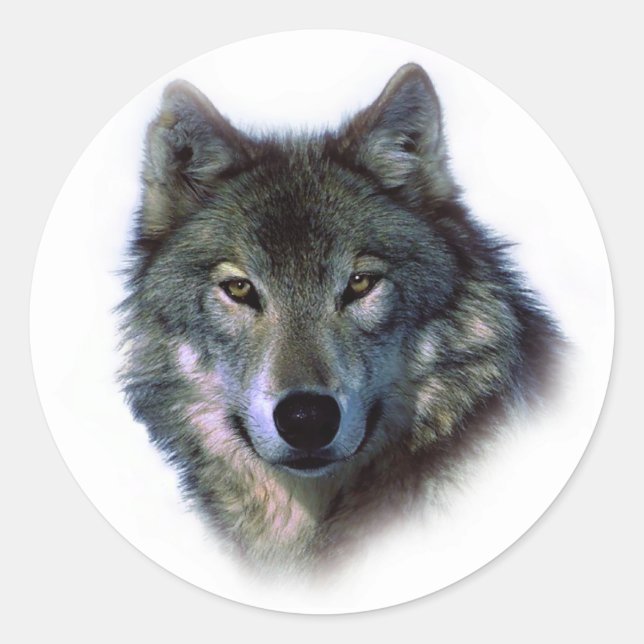 Grey Wolf Eyes Classic Round Sticker (Front)