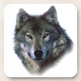 Grey Wolf Eyes Coaster