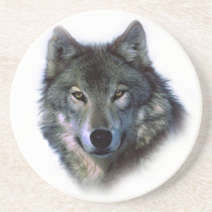 Grey Wolf Eyes Coaster
