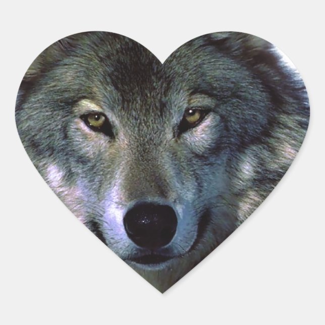 Grey Wolf Eyes Heart Sticker (Front)