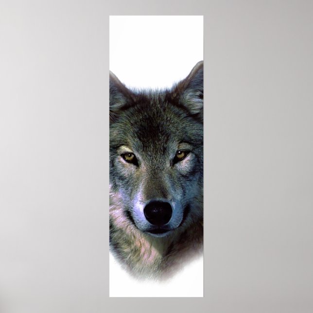 Grey Wolf Eyes Motivational Door Poster (Front)