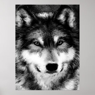 Grey Wolf Eyes Motivational Poster Print
