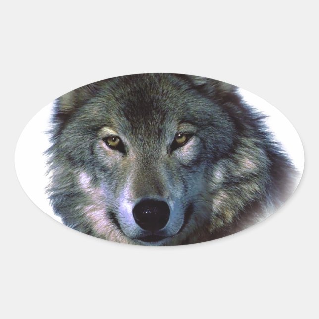 Grey Wolf Eyes Oval Sticker (Front)