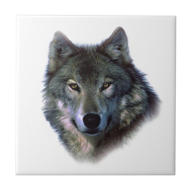Grey Wolf Eyes Tile (Front)