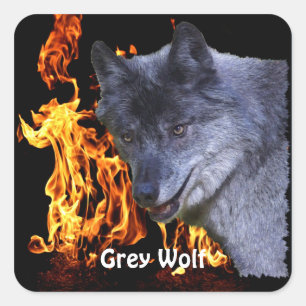 GREY WOLF & FOREST FIRE Wildlife Supporter Square Sticker