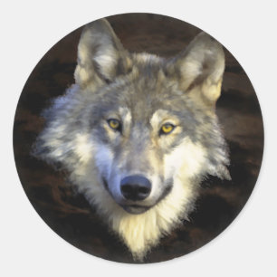 Grey Wolf Head Nature Canine Animal Art Classic Round Sticker