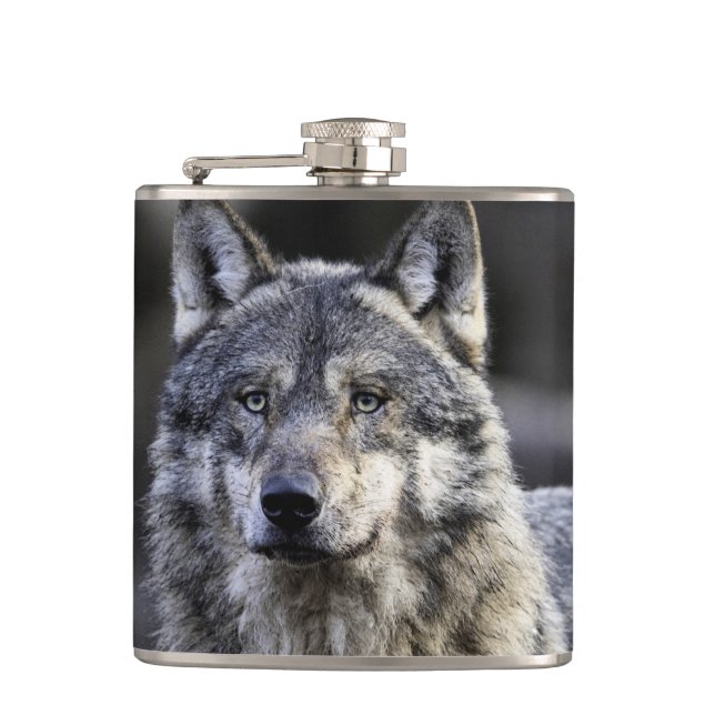 Grey Wolf Hip Flask (Front)