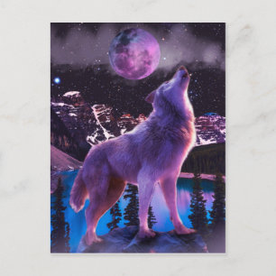 Grey wolf howling in forest postcard