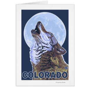 Grey Wolf HowlingColorado