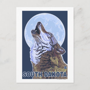 Grey Wolf HowlingSouth Dakota Postcard