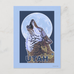 Grey Wolf HowlingUtah Postcard