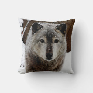 Grey Wolf in Snow Cushion
