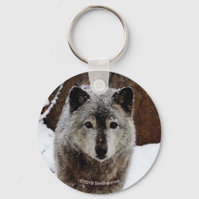 Grey Wolf in Snow Key Ring (Front)