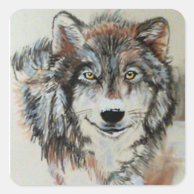 Grey Wolf in Snow Stickers (Front)