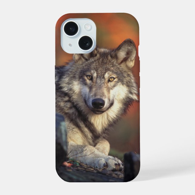 Grey Wolf iPhone 15 Case (Back)