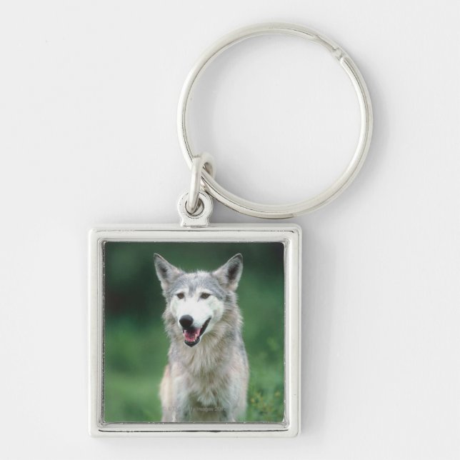 Grey Wolf Key Ring (Front)