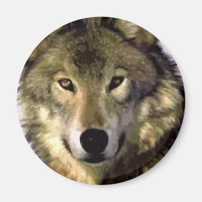 Grey Wolf Magnet (Front)