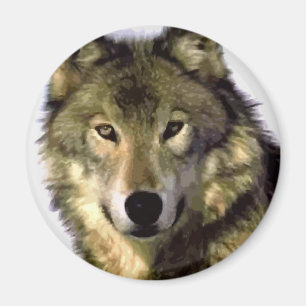 Grey Wolf Magnet
