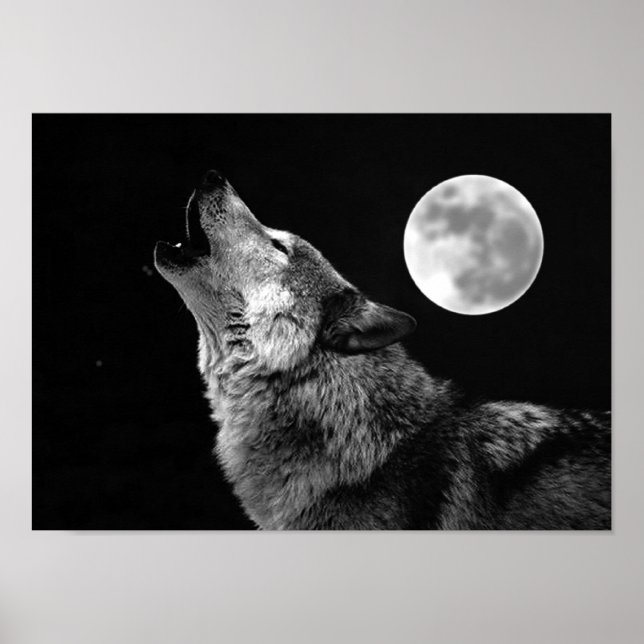Grey Wolf & Moon Poster Print (Front)