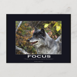 Grey Wolf Motivational Gifts Postcard