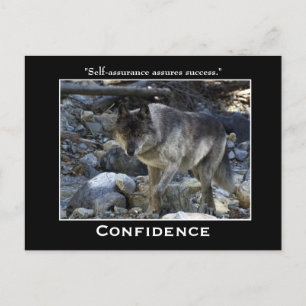 Grey Wolf Motivational Postcards