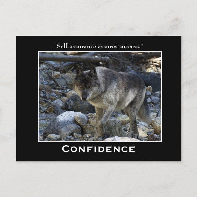 Grey Wolf Motivational Postcards (Front)