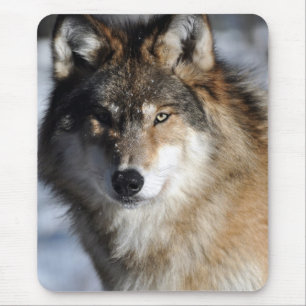 Grey Wolf Mouse Mat