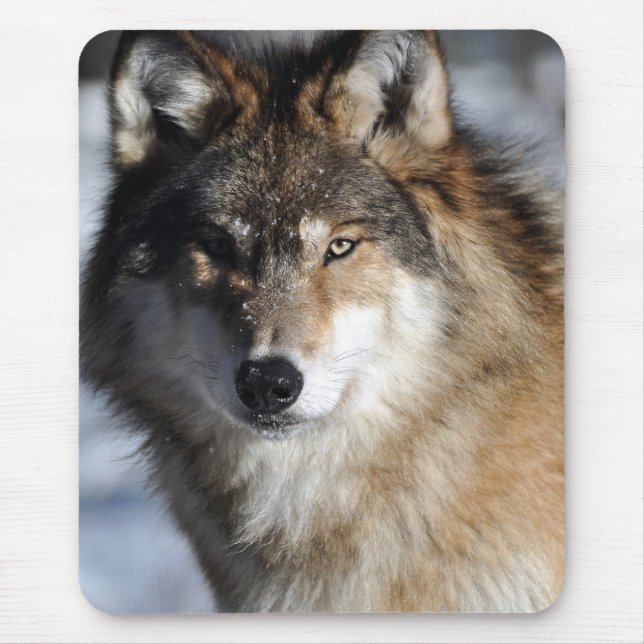 Grey Wolf Mouse Mat (Front)